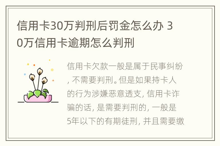 信用卡30萬判刑后罰金怎么辦 30萬信用卡逾期怎么判刑