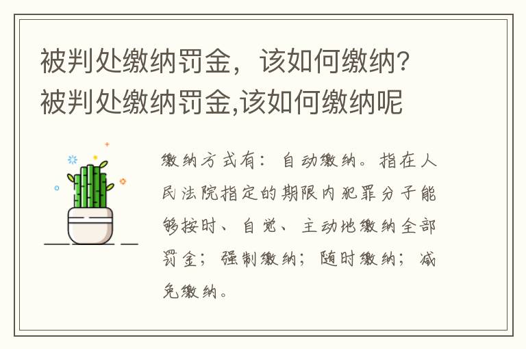 被判處繳納罰金，該如何繳納? 被判處繳納罰金,該如何繳納呢