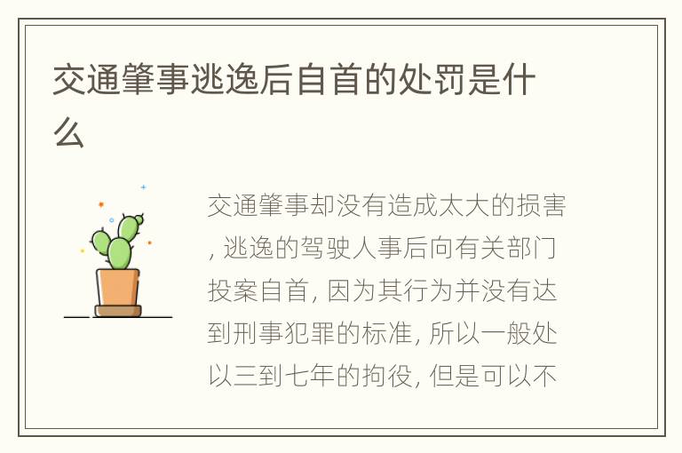 交通肇事逃逸后自首的處罰是什么