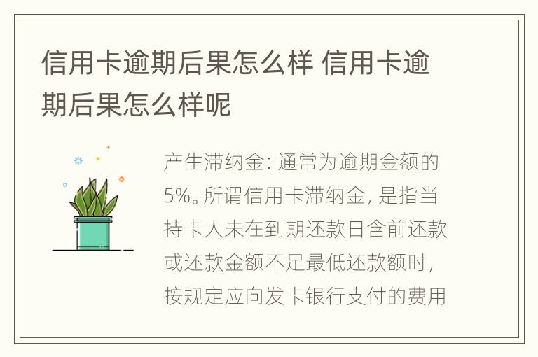 信用卡逾期后果怎么樣 信用卡逾期后果怎么樣呢