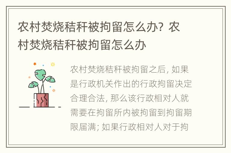 農(nóng)村焚燒秸稈被拘留怎么辦？ 農(nóng)村焚燒秸稈被拘留怎么辦