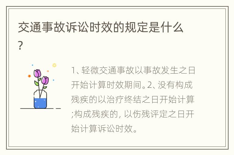交通事故訴訟時效的規(guī)定是什么？