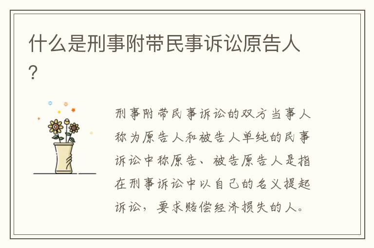 什么是刑事附帶民事訴訟原告人？