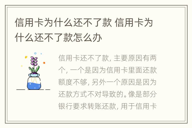 信用卡為什么還不了款 信用卡為什么還不了款怎么辦