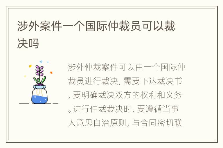 涉外案件一個(gè)國際仲裁員可以裁決嗎
