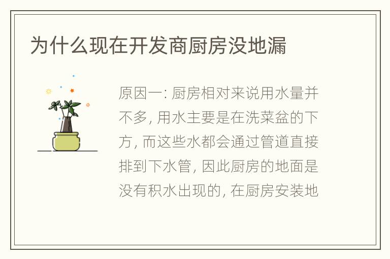 為什么現(xiàn)在開發(fā)商廚房沒地漏