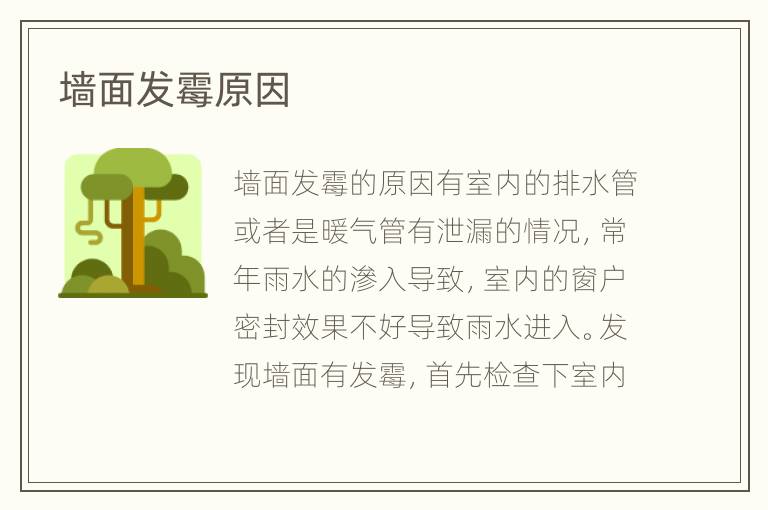 墻面發(fā)霉原因