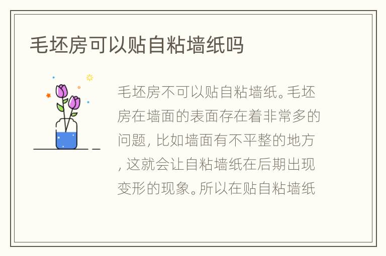 毛坯房可以貼自粘墻紙嗎