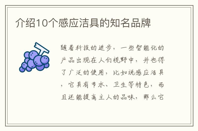 介紹10個感應潔具的知名品牌