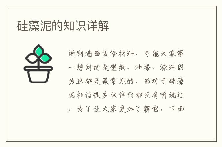 硅藻泥的知識詳解