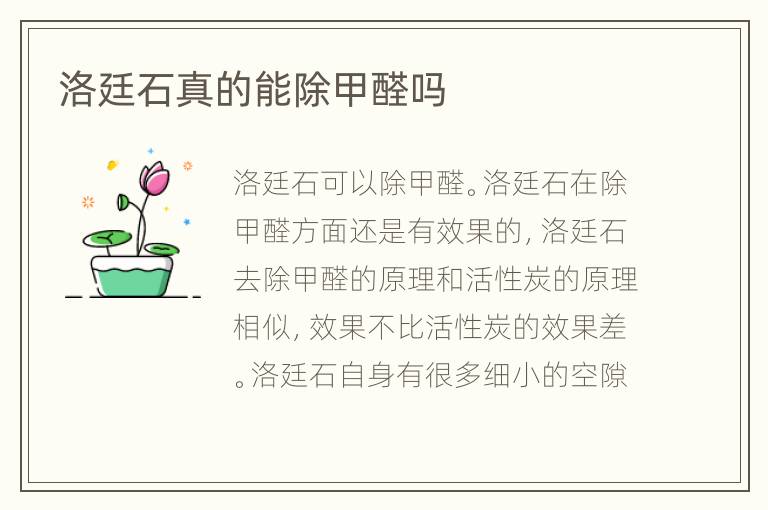 洛廷石真的能除甲醛嗎