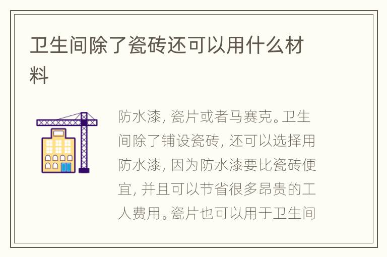 衛(wèi)生間除了瓷磚還可以用什么材料