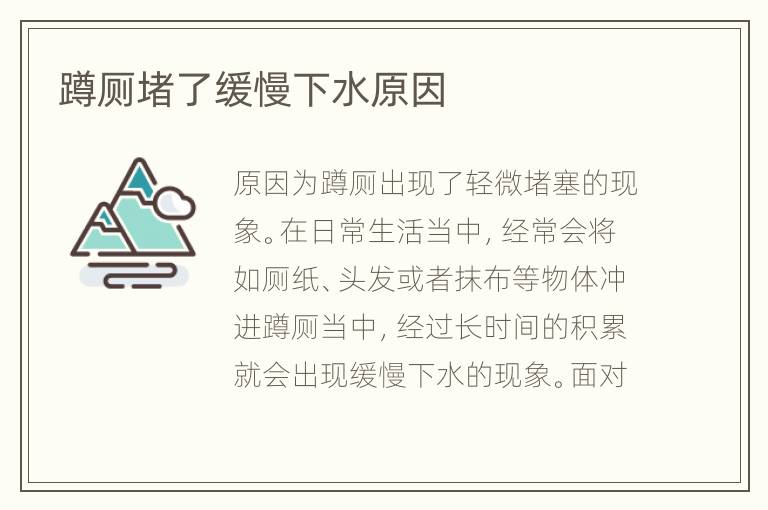 蹲廁堵了緩慢下水原因