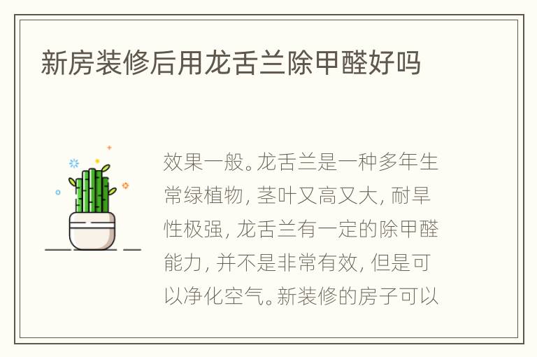 新房裝修后用龍舌蘭除甲醛好嗎
