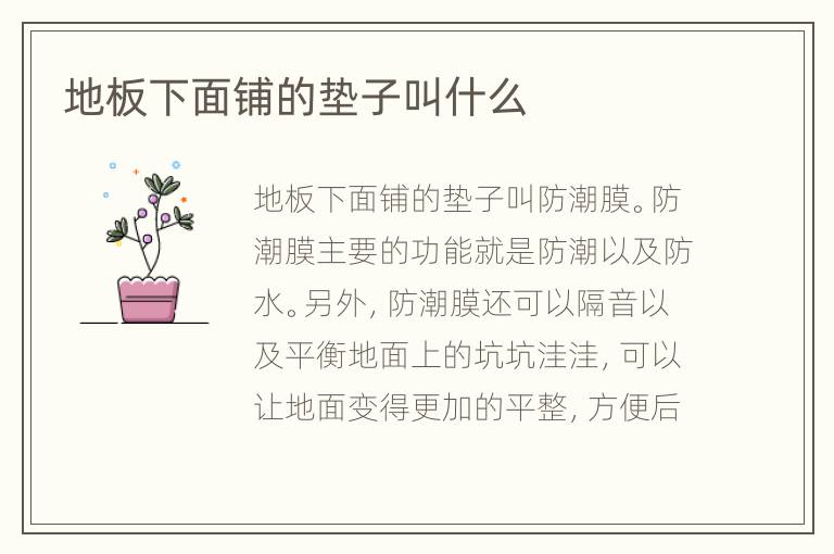 地板下面鋪的墊子叫什么
