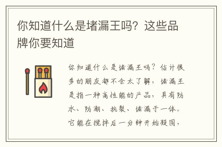 你知道什么是堵漏王嗎？這些品牌你要知道