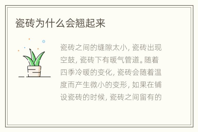 瓷磚為什么會翹起來