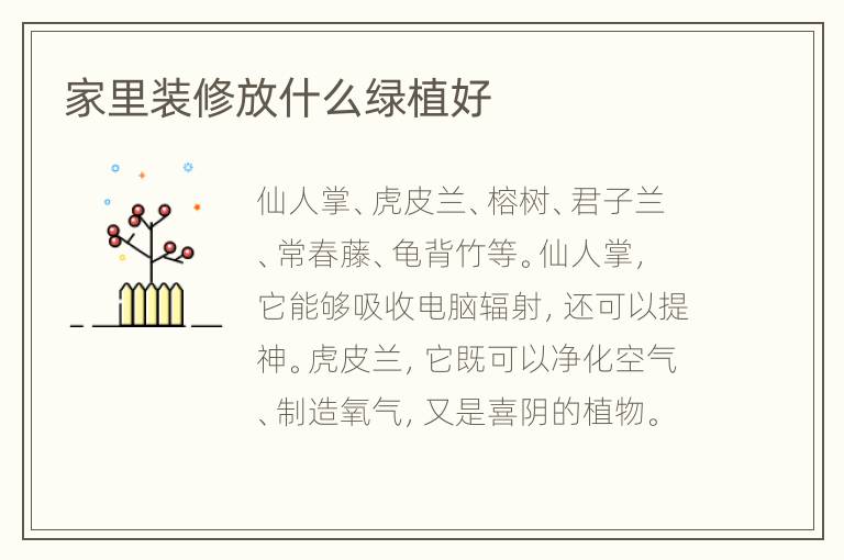 家里裝修放什么綠植好