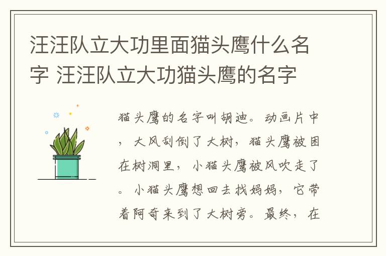 汪汪隊(duì)立大功里面貓頭鷹什么名字 汪汪隊(duì)立大功貓頭鷹的名字