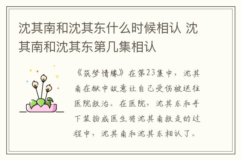 沈其南和沈其東什么時候相認 沈其南和沈其東第幾集相認