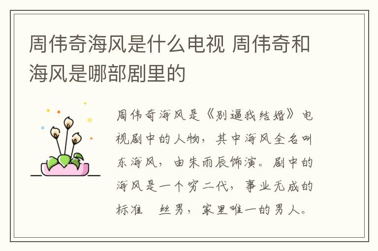 周偉奇海風(fēng)是什么電視 周偉奇和海風(fēng)是哪部劇里的