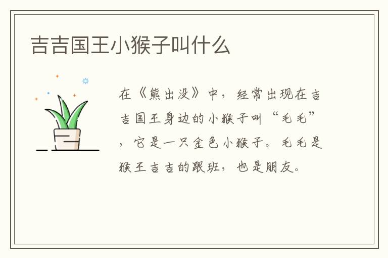 吉吉國(guó)王小猴子叫什么