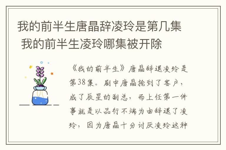 我的前半生唐晶辭凌玲是第幾集 我的前半生凌玲哪集被開(kāi)除