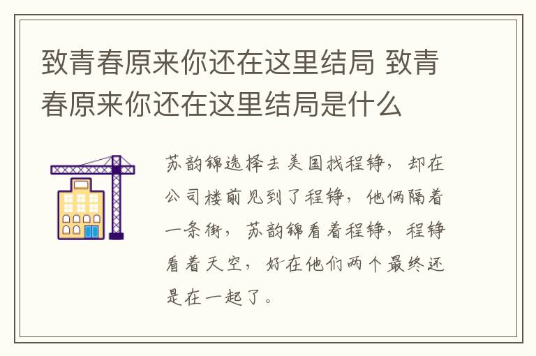 致青春原來(lái)你還在這里結(jié)局 致青春原來(lái)你還在這里結(jié)局是什么