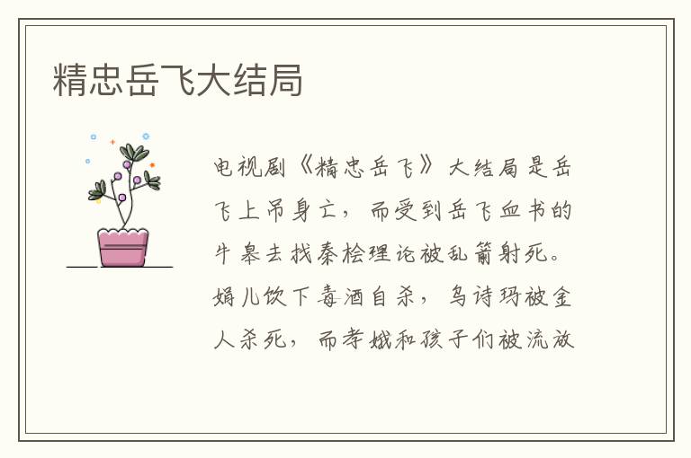 精忠岳飛大結(jié)局