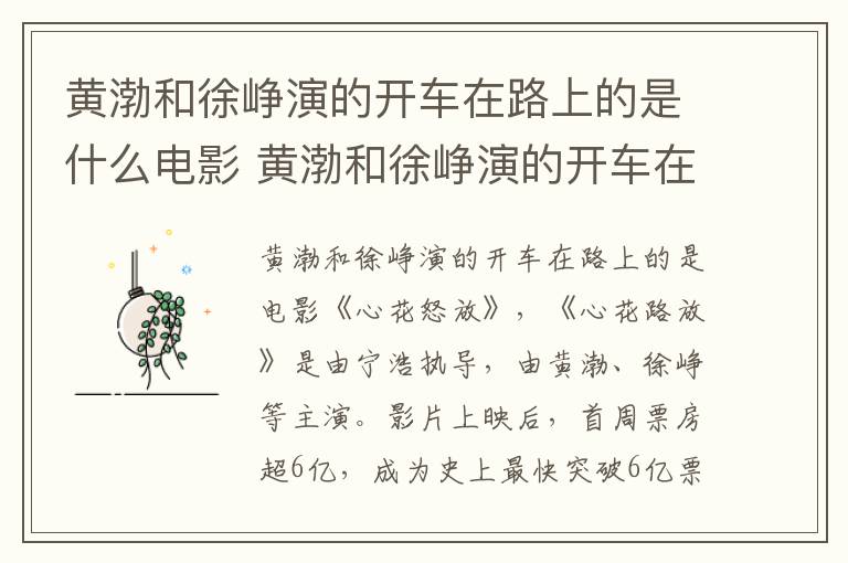 黃渤和徐崢演的開車在路上的是什么電影 黃渤和徐崢演的開車在路上的電影是什么