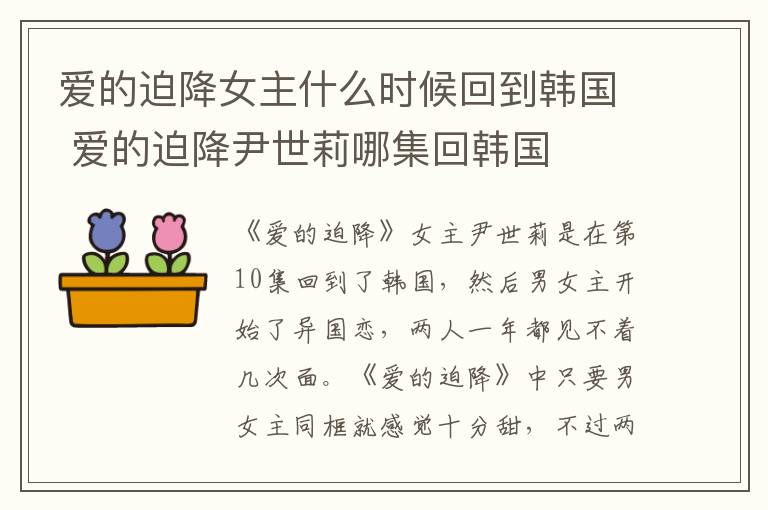 愛的迫降女主什么時候回到韓國 愛的迫降尹世莉哪集回韓國