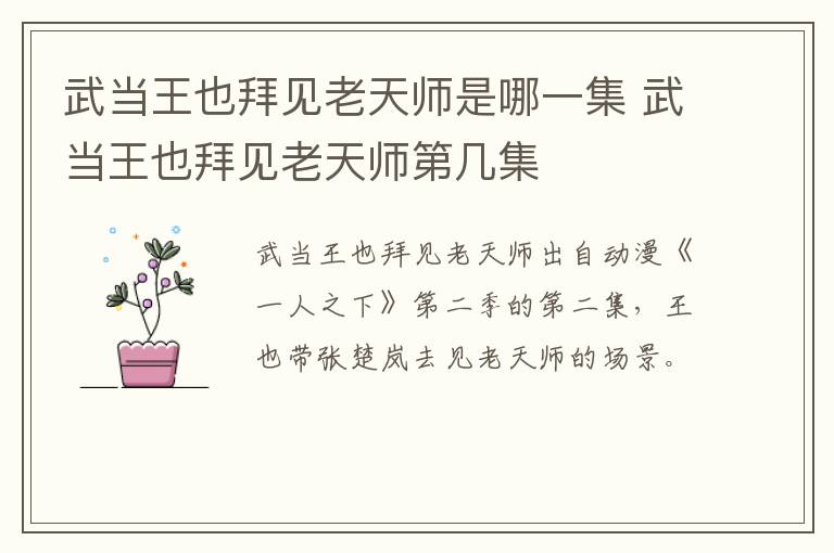 武當王也拜見老天師是哪一集 武當王也拜見老天師第幾集
