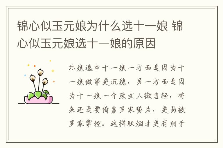 錦心似玉元娘為什么選十一娘 錦心似玉元娘選十一娘的原因