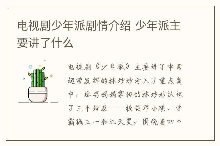 電視劇少年派劇情介紹 少年派主要講了什么