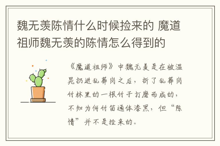 魏無羨陳情什么時(shí)候撿來的 魔道祖師魏無羨的陳情怎么得到的