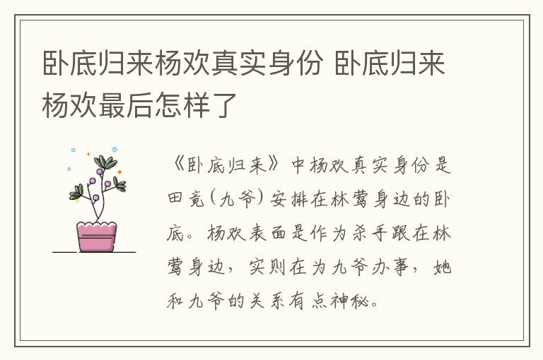 臥底歸來?xiàng)顨g真實(shí)身份 臥底歸來?xiàng)顨g最后怎樣了