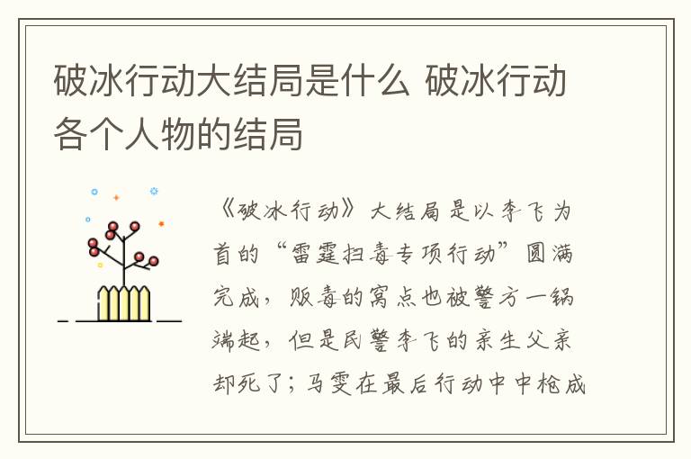 破冰行動(dòng)大結(jié)局是什么 破冰行動(dòng)各個(gè)人物的結(jié)局
