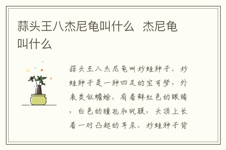 蒜頭王八杰尼龜叫什么  杰尼龜叫什么