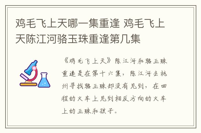 雞毛飛上天哪一集重逢 雞毛飛上天陳江河駱玉珠重逢第幾集