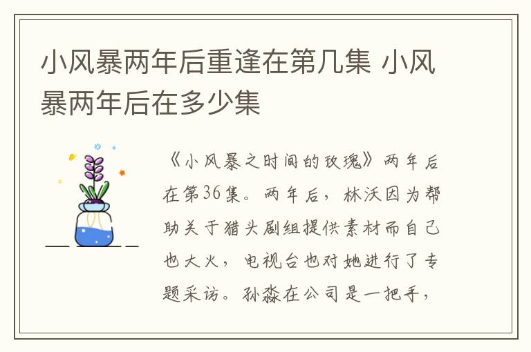 小風(fēng)暴兩年后重逢在第幾集 小風(fēng)暴兩年后在多少集
