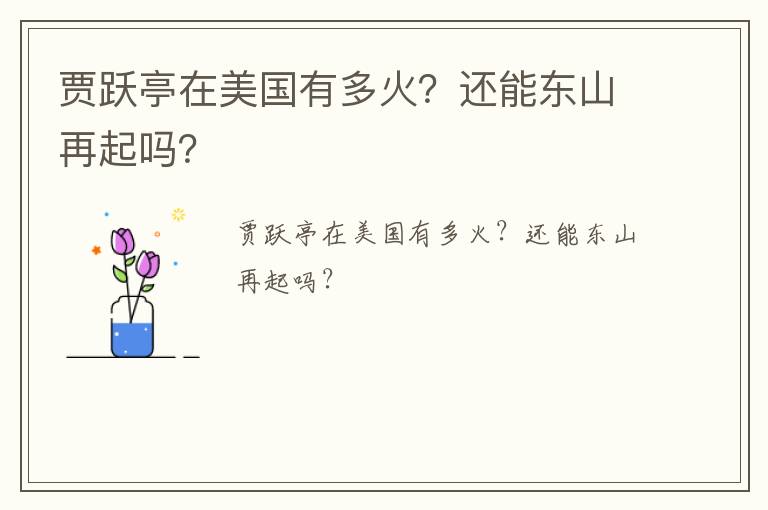 賈躍亭在美國有多火？還能東山再起嗎？