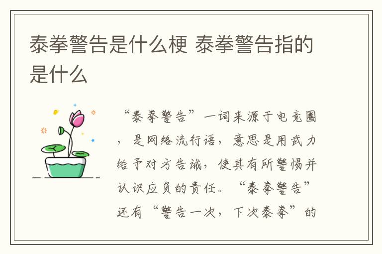泰拳警告是什么梗 泰拳警告指的是什么