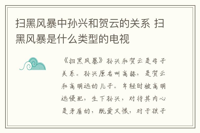 掃黑風暴中孫興和賀云的關系 掃黑風暴是什么類型的電視
