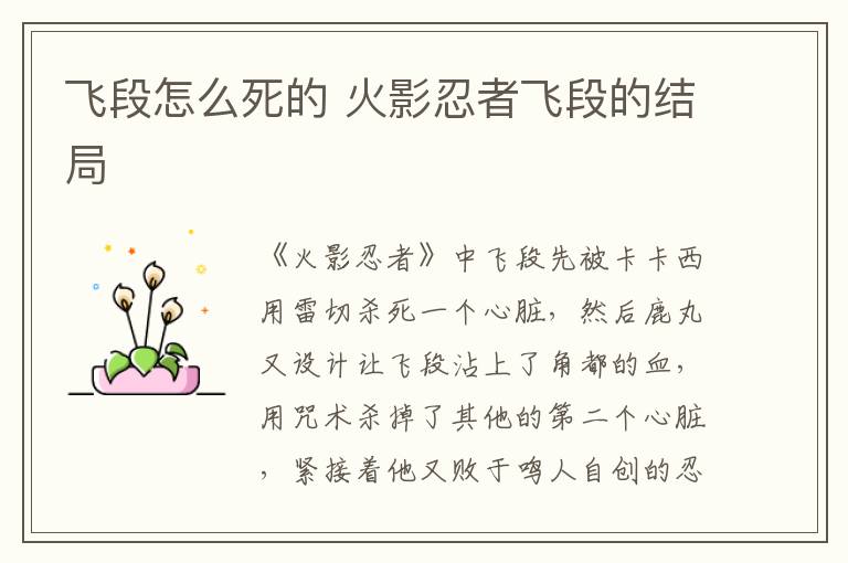 飛段怎么死的 火影忍者飛段的結(jié)局