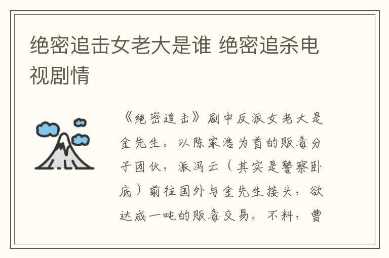 絕密追擊女老大是誰(shuí) 絕密追殺電視劇情
