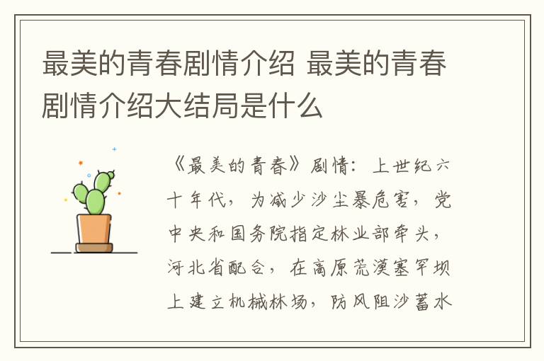 最美的青春劇情介紹 最美的青春劇情介紹大結(jié)局是什么