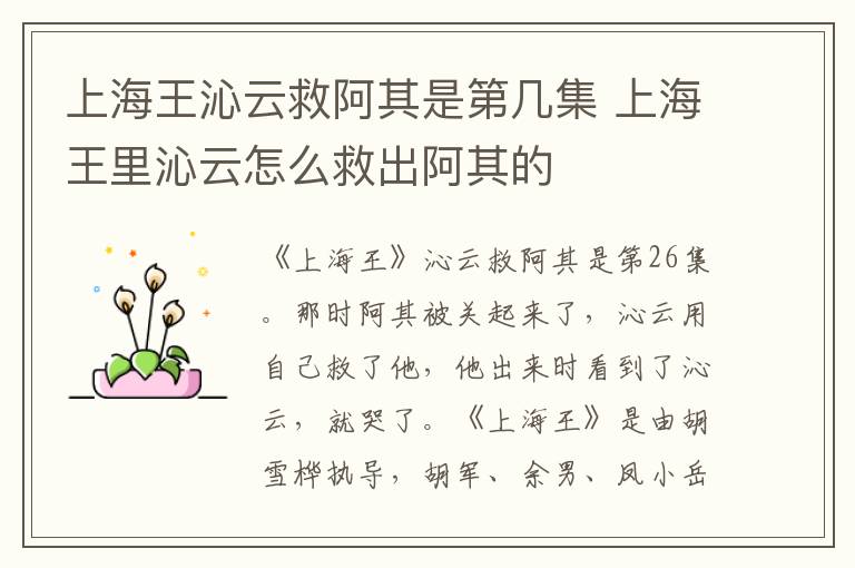 上海王沁云救阿其是第幾集 上海王里沁云怎么救出阿其的