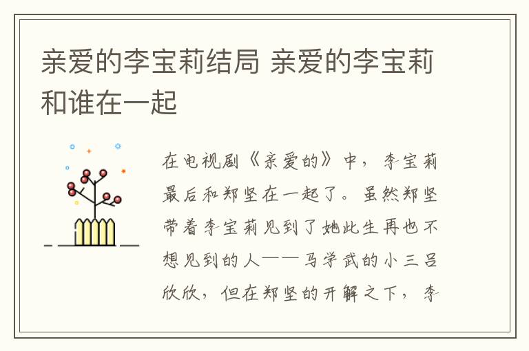親愛的李寶莉結(jié)局 親愛的李寶莉和誰在一起