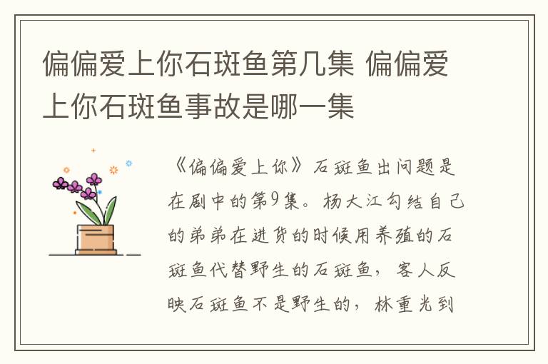 偏偏愛上你石斑魚第幾集 偏偏愛上你石斑魚事故是哪一集