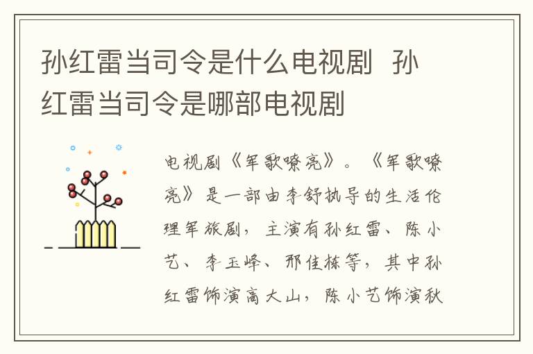 孫紅雷當(dāng)司令是什么電視劇  孫紅雷當(dāng)司令是哪部電視劇